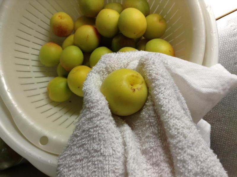 ����÷�ӹ���������