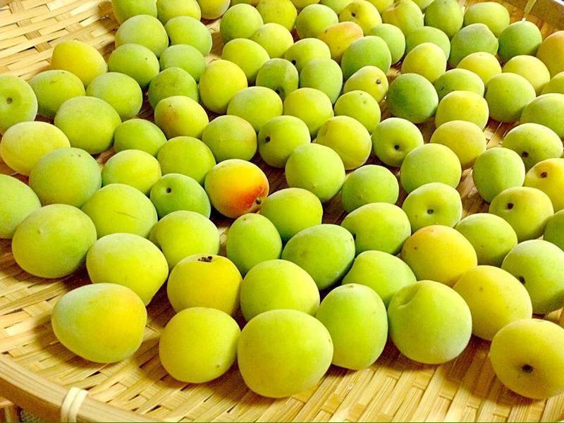 ����÷�ӹ���������