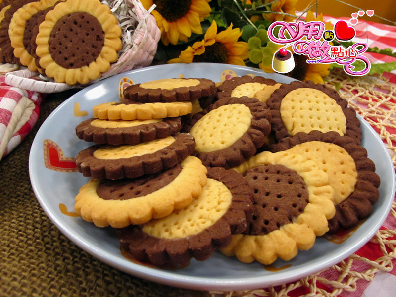 ���տ�˫ɫ���ɵ�����