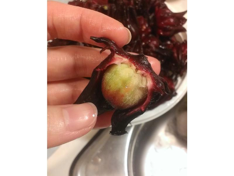 �������񻨹���������