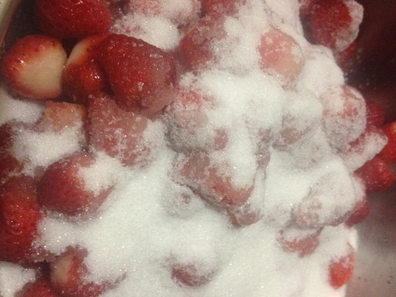 �����޶���ݮ����������