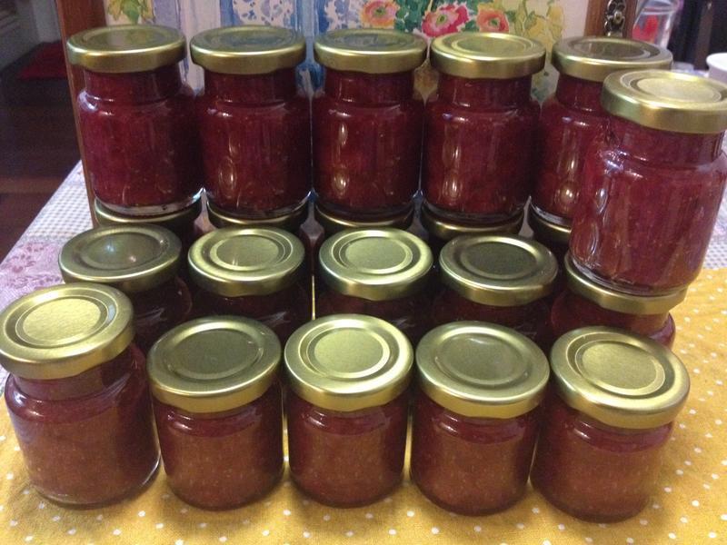 �����޶���ݮ����������