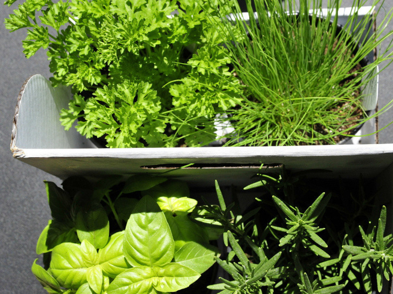 ����߲˼��� | Country Style Chicken Vegetable Soup������