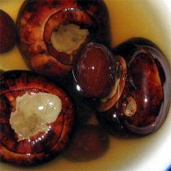 ����������������