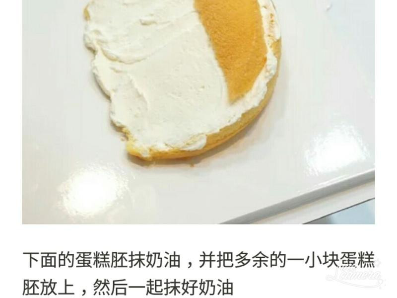 ���͵��������