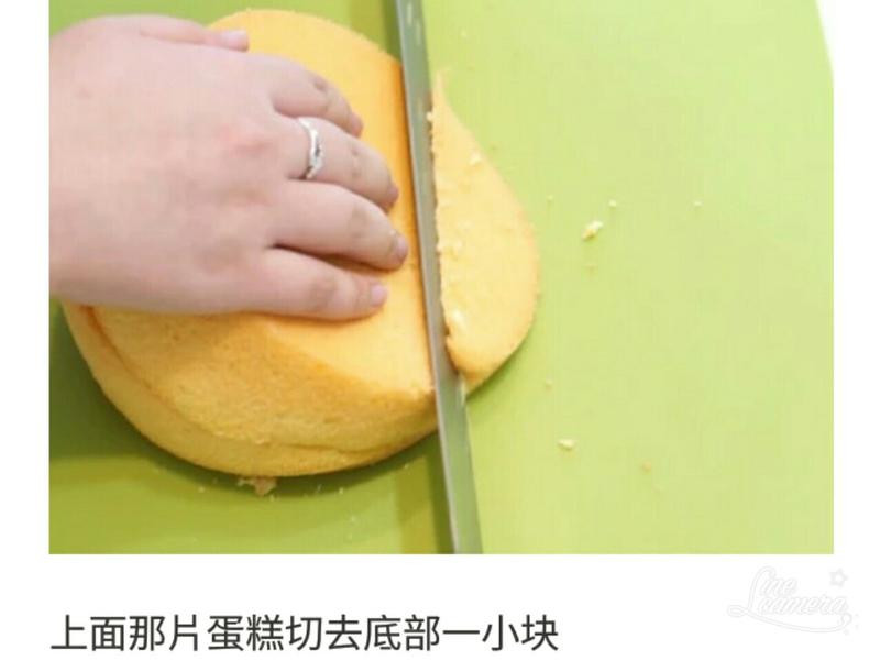 ���͵��������