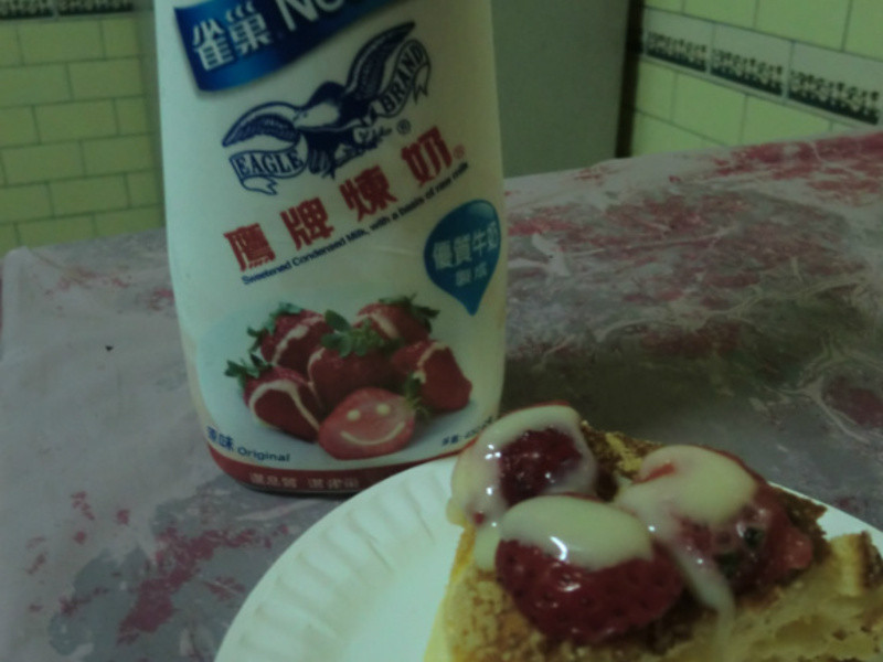 ����ݮ�Ͱ�ӥ�����̡�- ��ݮ���ϵ��������