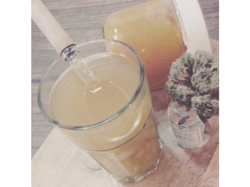 ��������â�������������