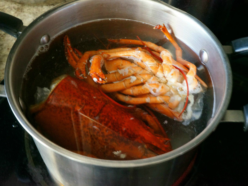 ������ζ���������������