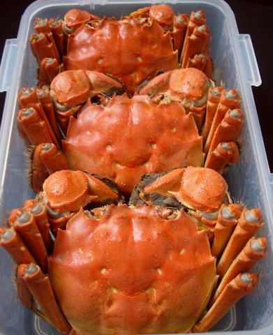 �����з������