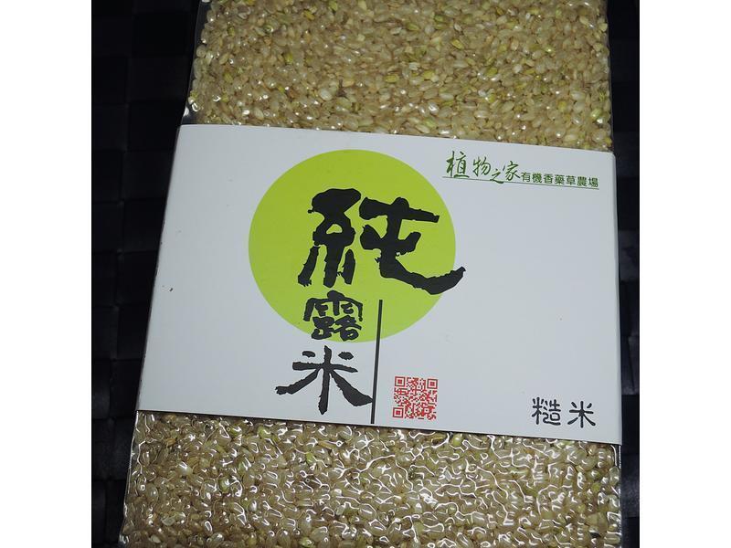 �����ڹǼ������������