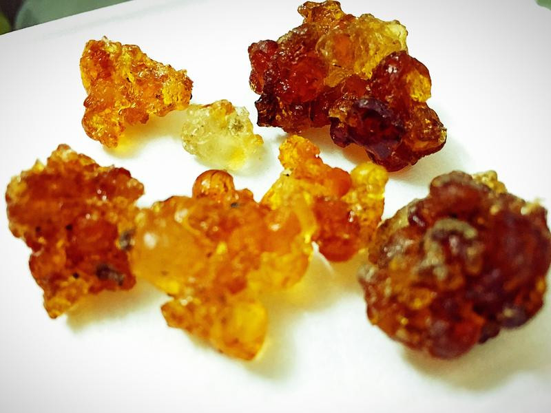 ��Բ�����ҽ�������