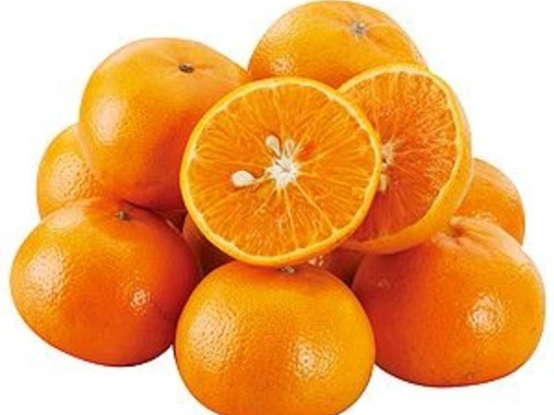 �������޼�󷹵�����