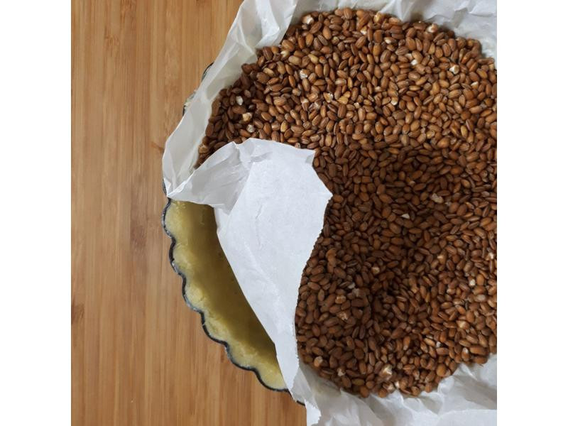 Ĩ�����������ɵ�����