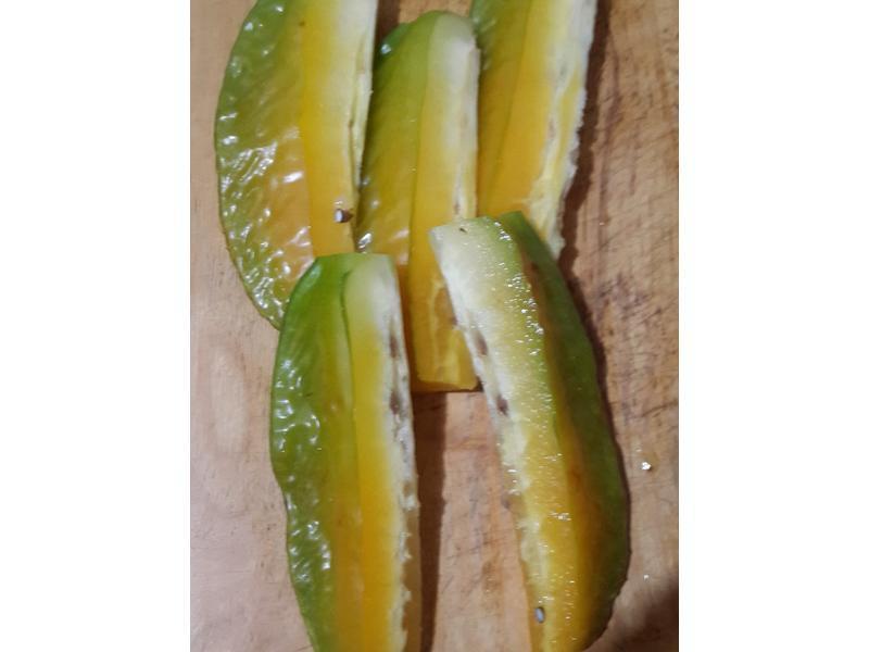 �����ҵ�����