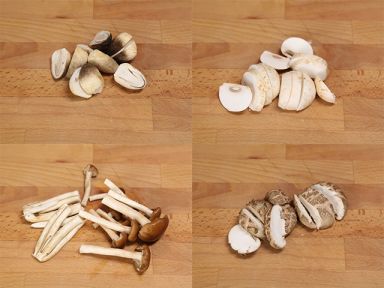 �Ϲ��Ӿ���������