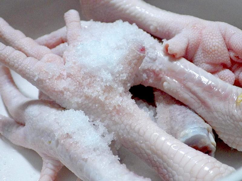 ������������צ������