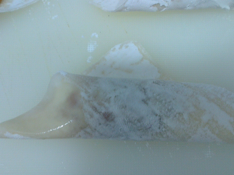 ������⽵�����