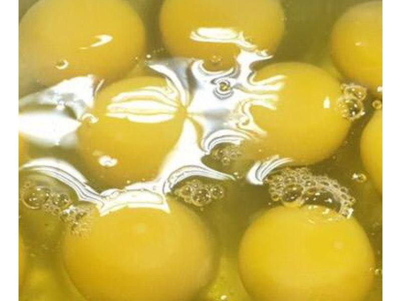 �ٻ�����������