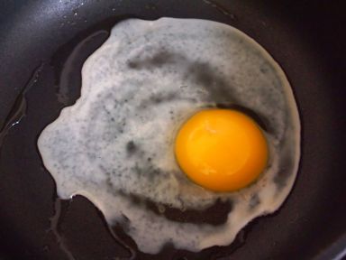 ��ʽţ�ⷹ������