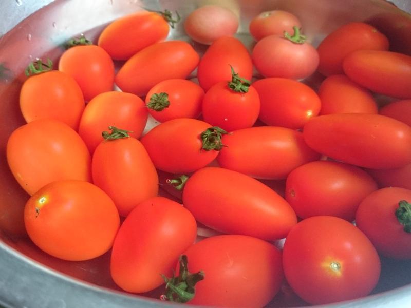 ��Qoo��������÷֭����(������)������