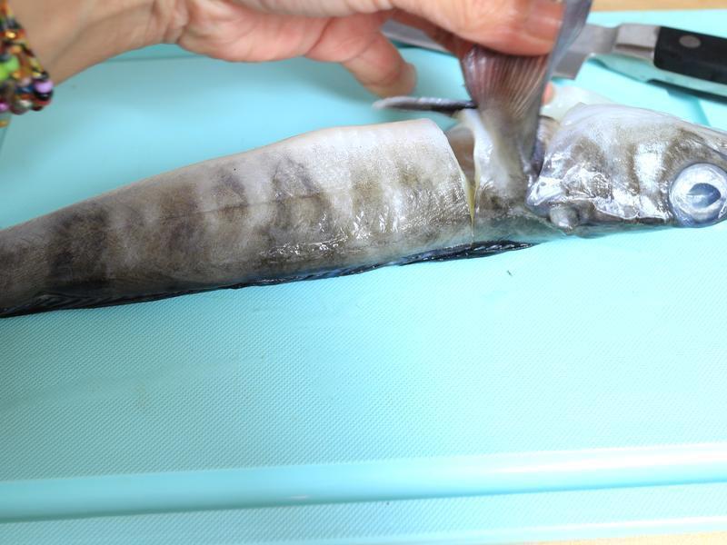 �������ɳ����լ���䡿������