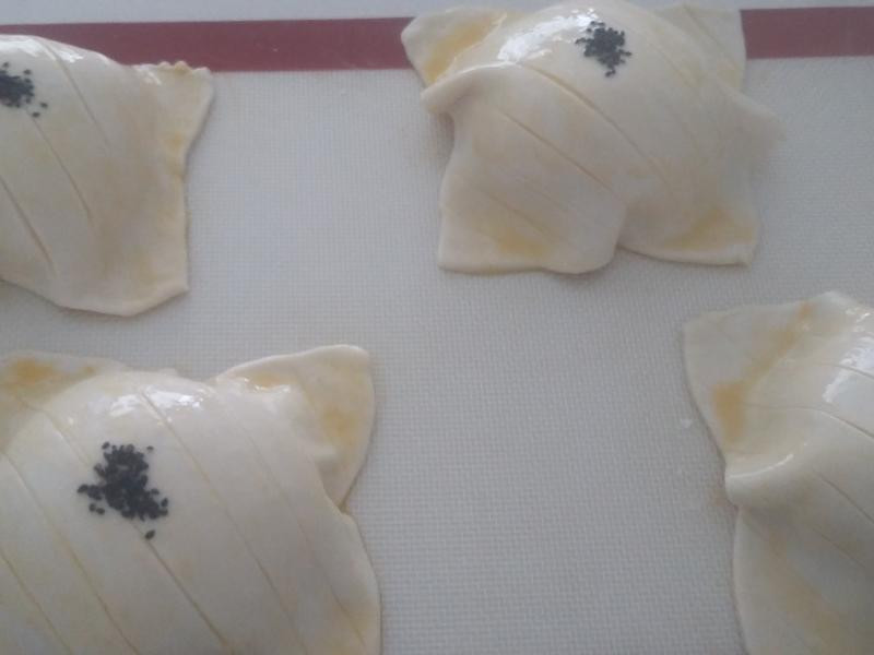 ����Ƥ�������������