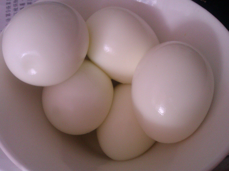 ���ӱ�����ɳ��������