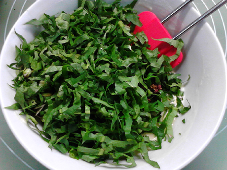 �ѹ�Ӣ�ɱ�������