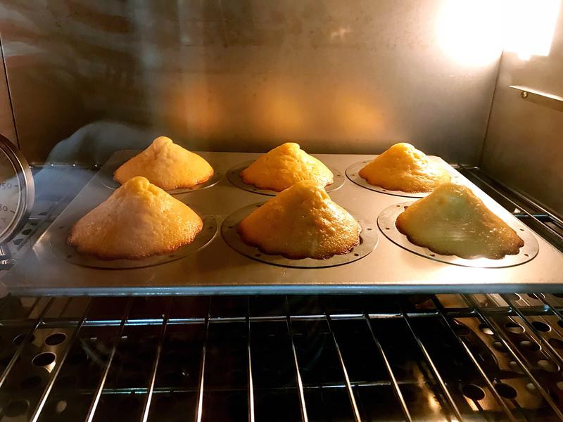 �ɿ�������������ǵ��������