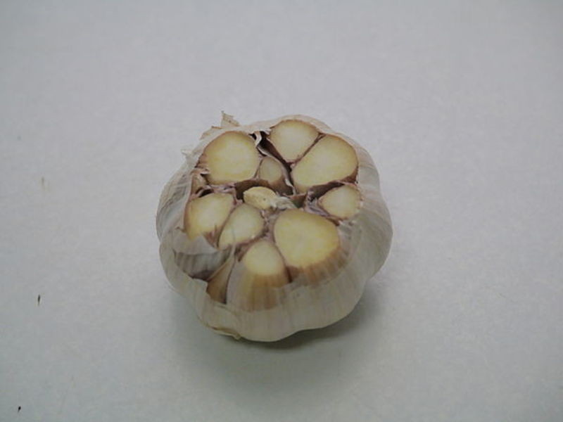 �㿾��ͷ���㳦������