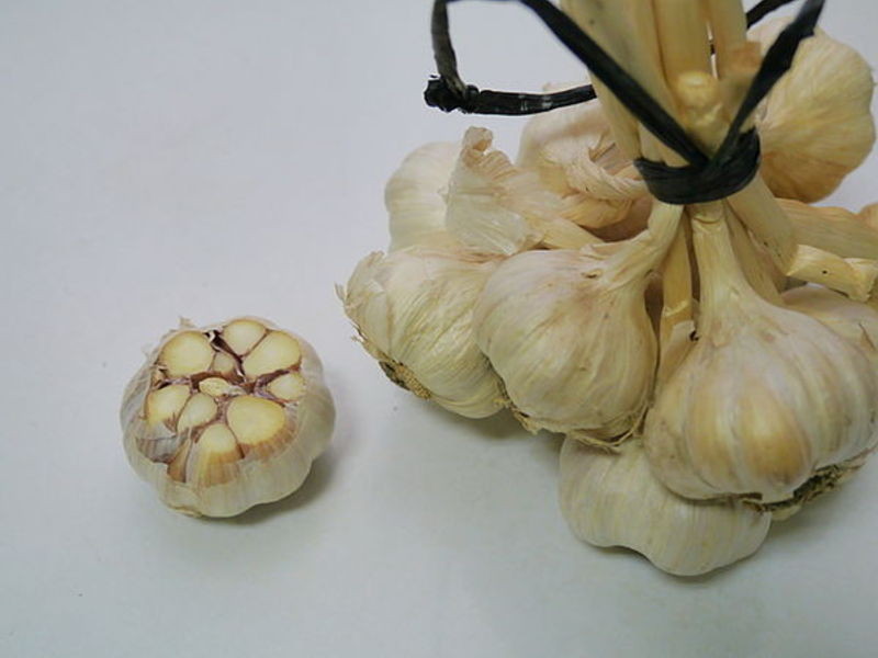 �㿾��ͷ���㳦������