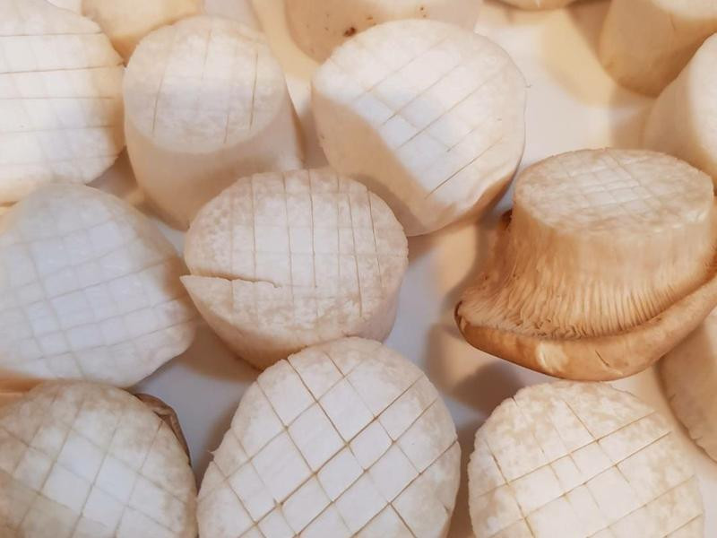 �����ӱ���������