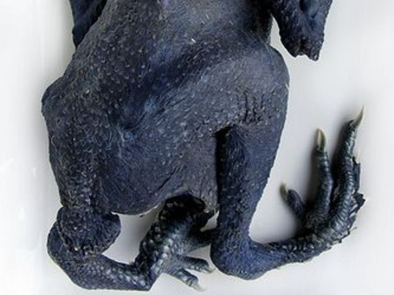 ���ɹ������ڹǼ���������