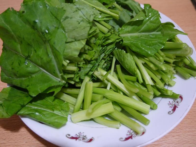 ɳ���������Ƭ������