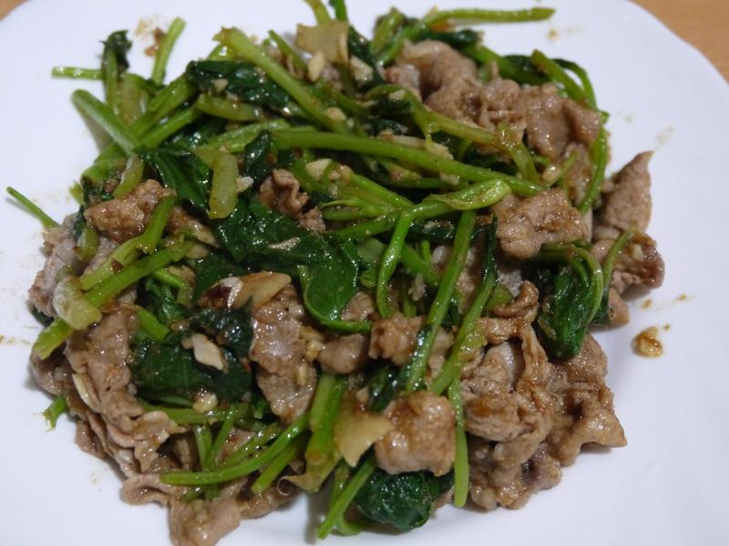 ɳ���������Ƭ������