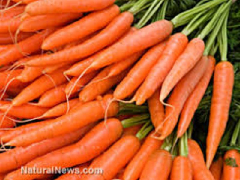 ��ʧ��̨ʽ�ݲ˵�����