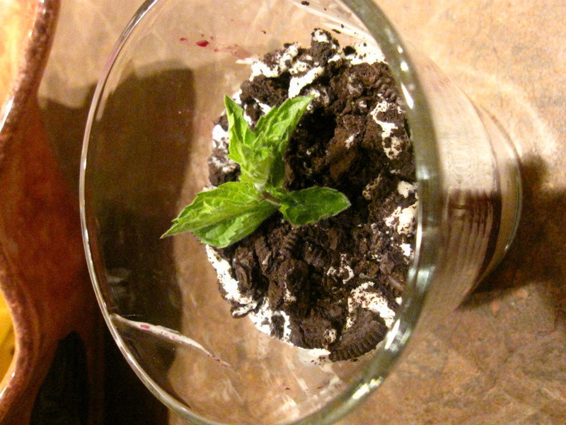 �������Ա�������