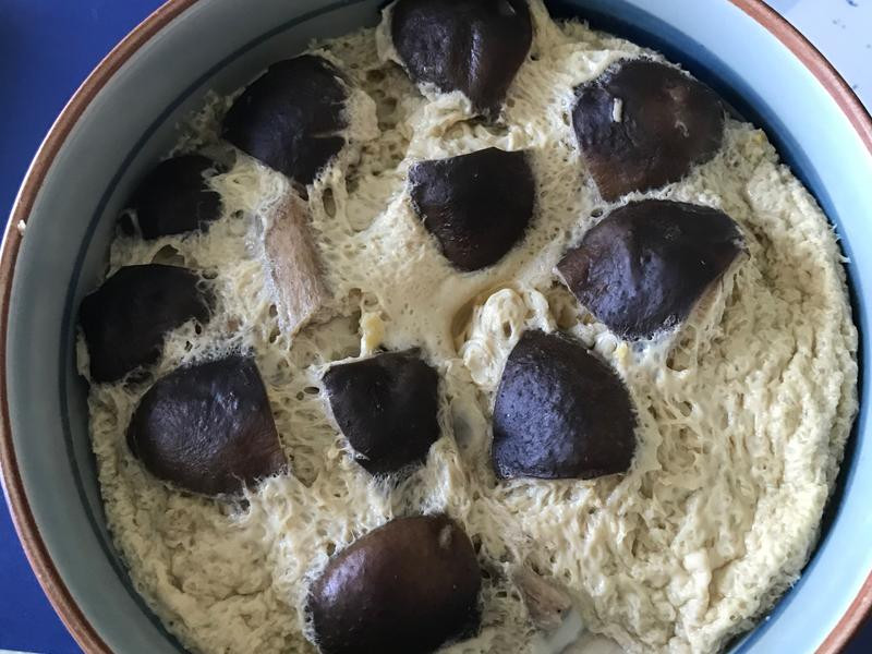 �㹽��������������