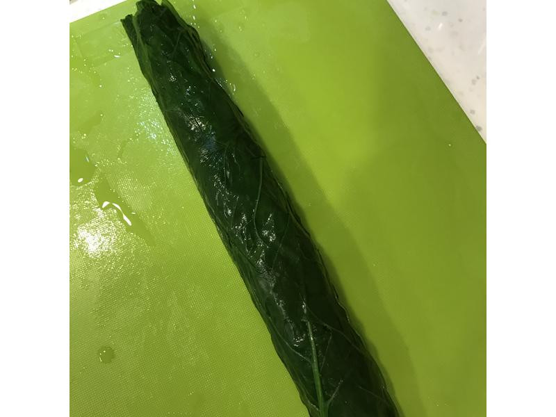 ��˱����-���鲤�˾�������