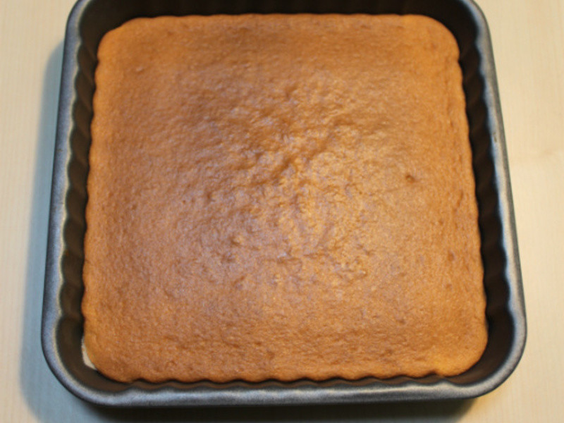 ���������硿ʥ��Ģ��ɭ�ֵ��������