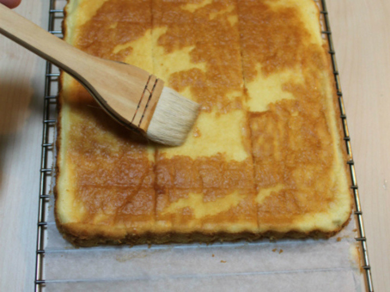 ���������硿ʥ��Ģ��ɭ�ֵ��������