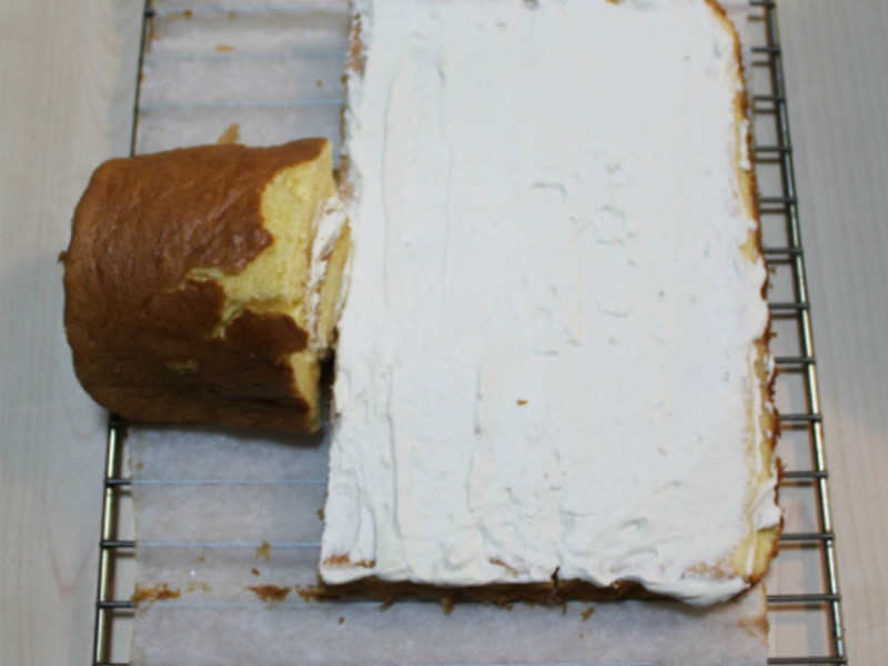 ���������硿ʥ��Ģ��ɭ�ֵ��������