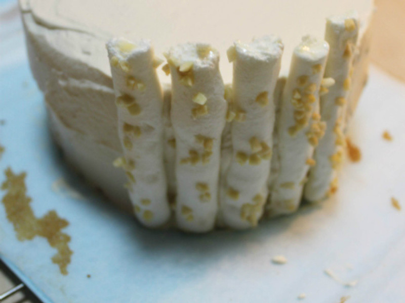 ���������硿ʥ��Ģ��ɭ�ֵ��������