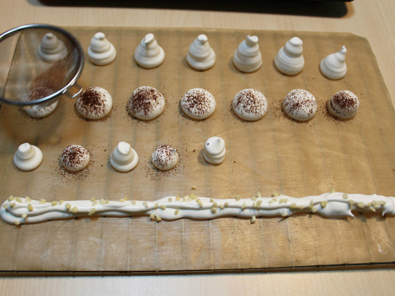 ���������硿ʥ��Ģ��ɭ�ֵ��������