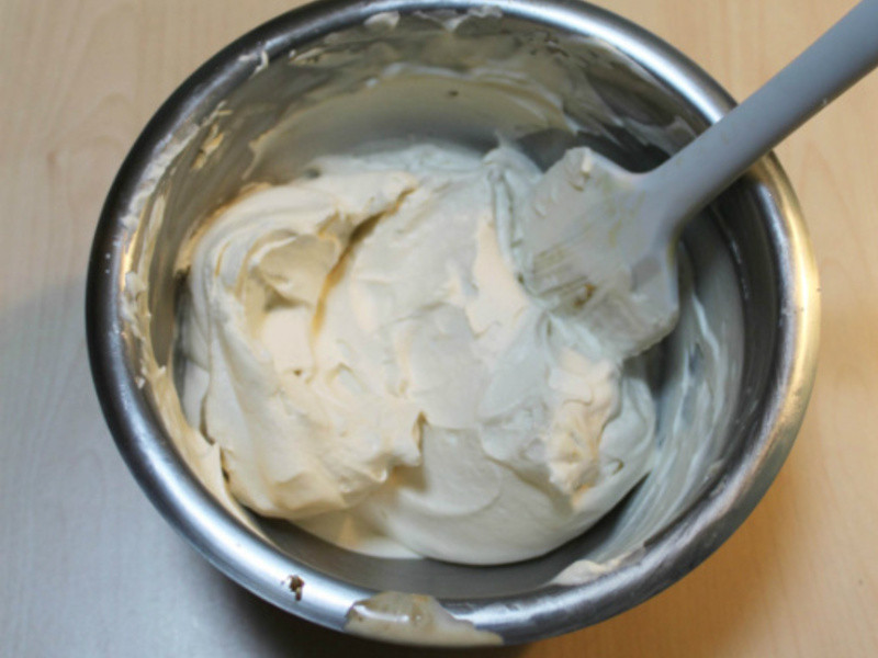 ���������硿ʥ��Ģ��ɭ�ֵ��������