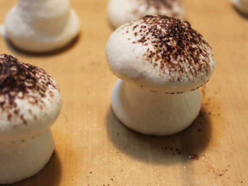 ���������硿ʥ��Ģ��ɭ�ֵ��������