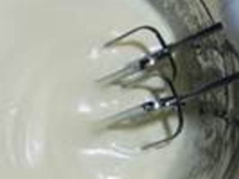 ���������硿ʥ��Ģ��ɭ�ֵ��������