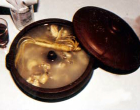 虫草炖蚬鸭的做法