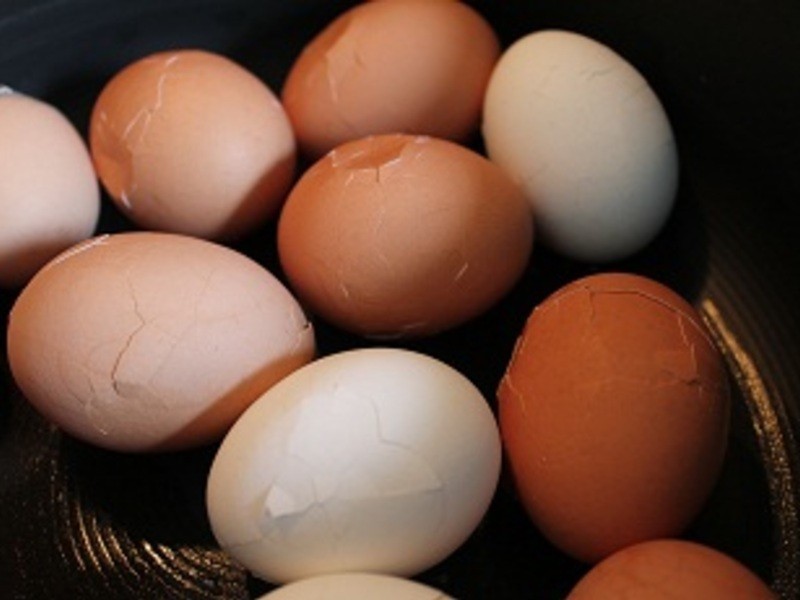 ����±��������